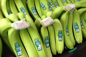 Zertifizierte Bananen